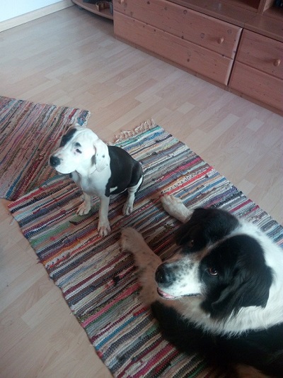 Emma und Biene.jpg