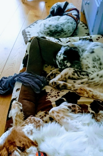 _20170920_102939.JPG