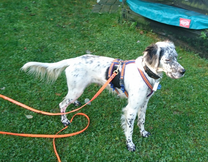 _20170921_091415.JPG