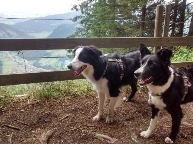 Mira und Murphy-Berge.jpg