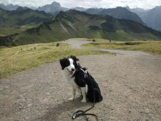 Murphy Wanderung.jpg