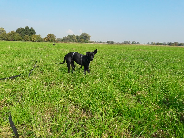 20170927_124726.jpg
