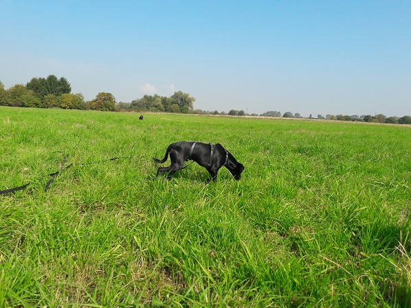20170927_124729.jpg