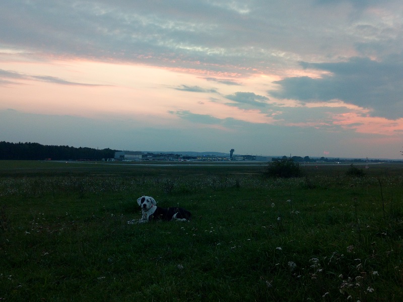 Emma und der Flughafen.jpg