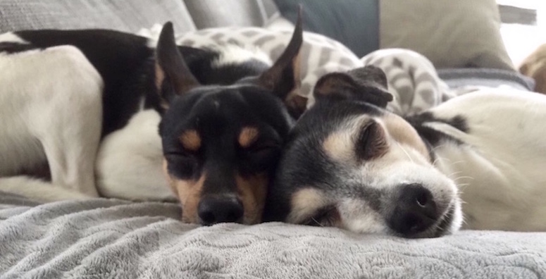 Benny und Lili 04_17.jpg