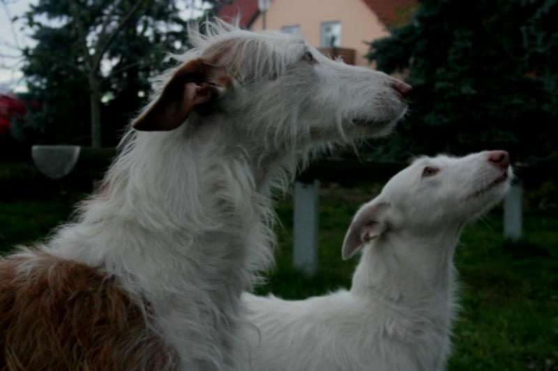 Aaron & Amy - best friends.JPG