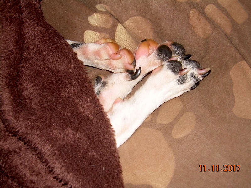 DSCN6968.JPG