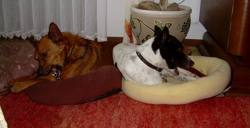 DSCN7086.JPG