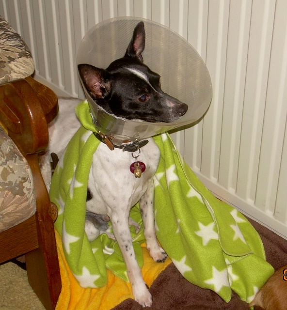 DSCN7091.JPG