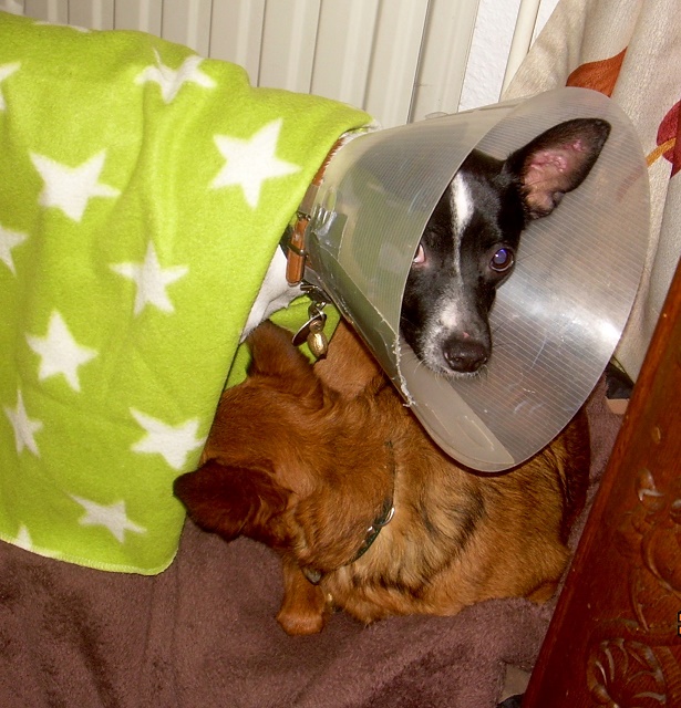 DSCN7093.JPG