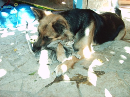 PICT0024.JPG