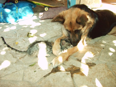 PICT0026.JPG