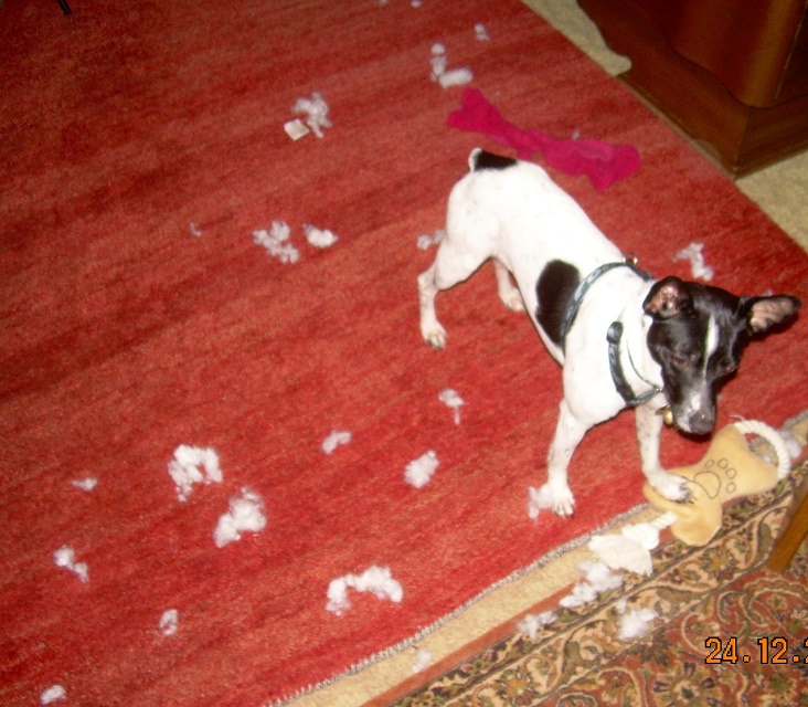 DSCN7148.JPG