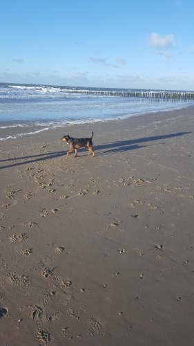 IMG-20171228-WA0016.jpg
