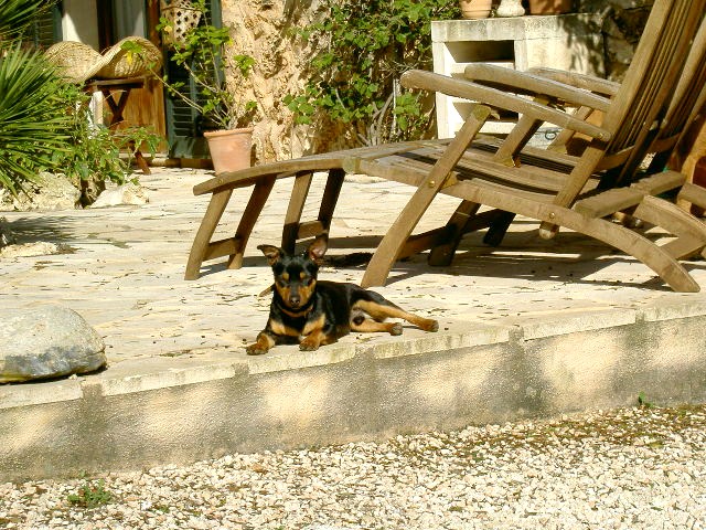 PICT6415.JPG