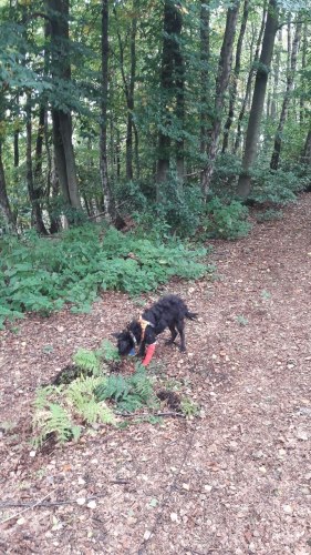 IMG-20171227-WA0029.jpg