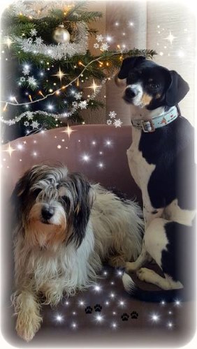 csm_PicsArt_12-03-12.46.52_bf108938db.jpg