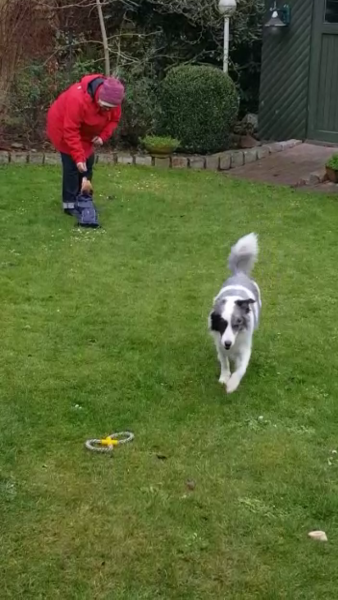 kiki1.PNG