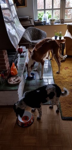 b159e065-532c-434e-8a69-4f31eebac4c3.jpg
