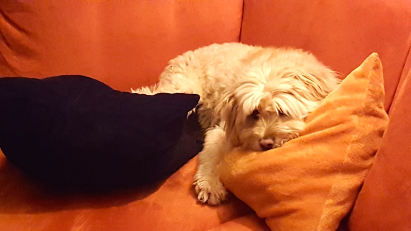 20170118_174011.jpg
