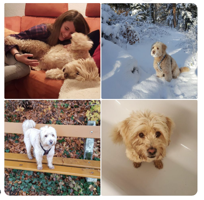 Bildschirmfoto 2018-01-17 um 12.58.33.png