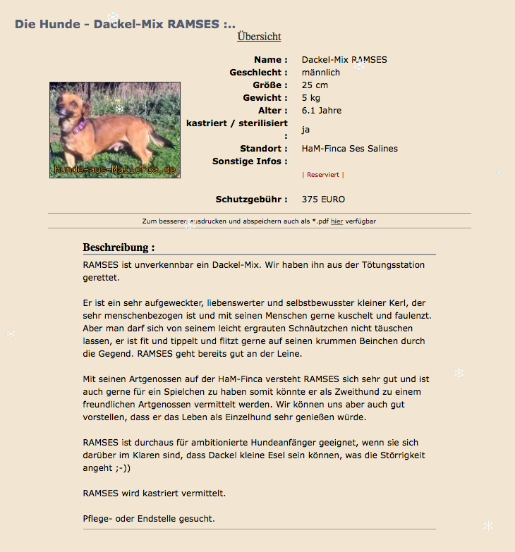 Bildschirmfoto 2018-01-24 um 13.00.59.png
