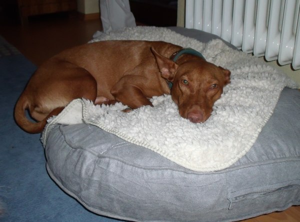 Bequem ist anders.jpg