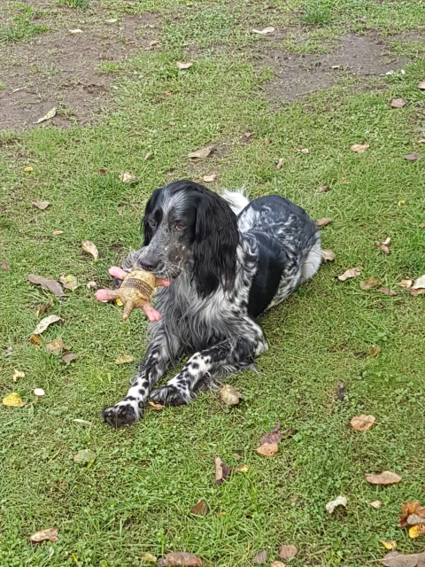 20171025_154438.jpg