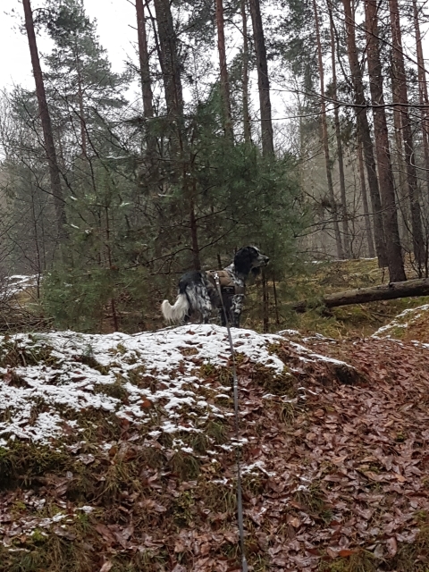20171216_140808.jpg