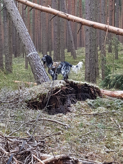 20180204_122102.jpg