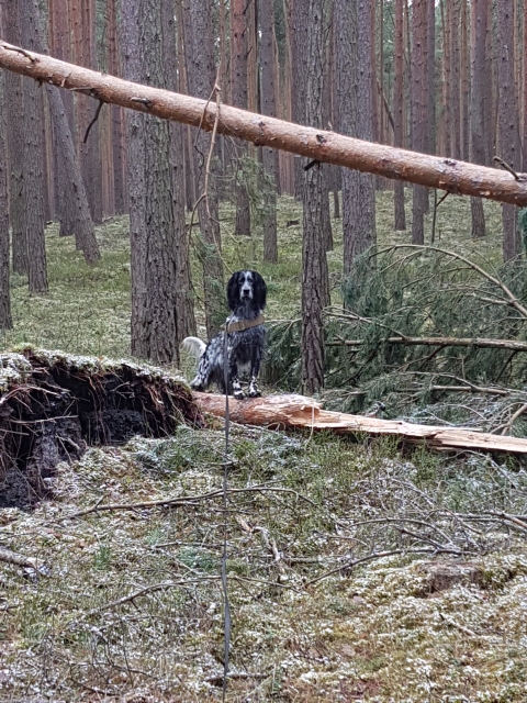 20180204_122116.jpg
