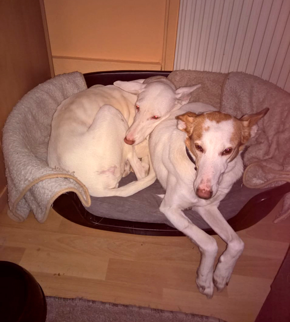 salome-kuscheln-1klein.jpg