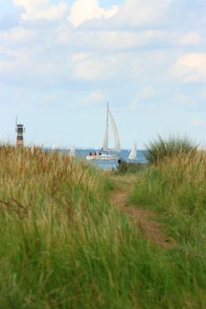 IMG_5453.JPG