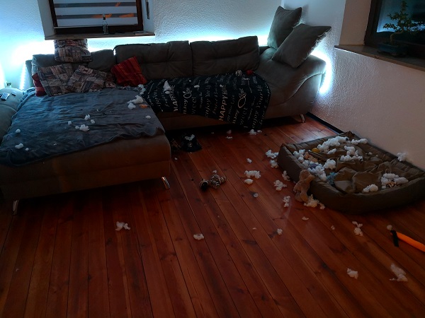 Party...hard!!.jpg