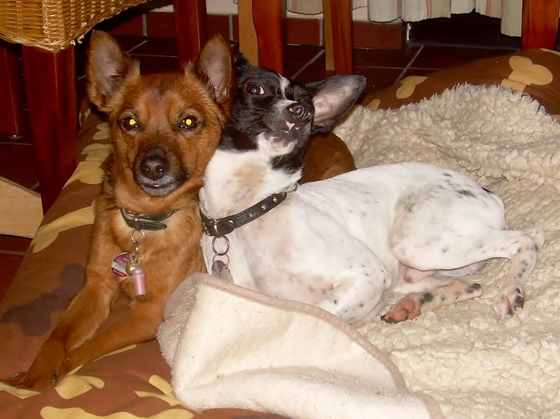 DSCN7230.JPG