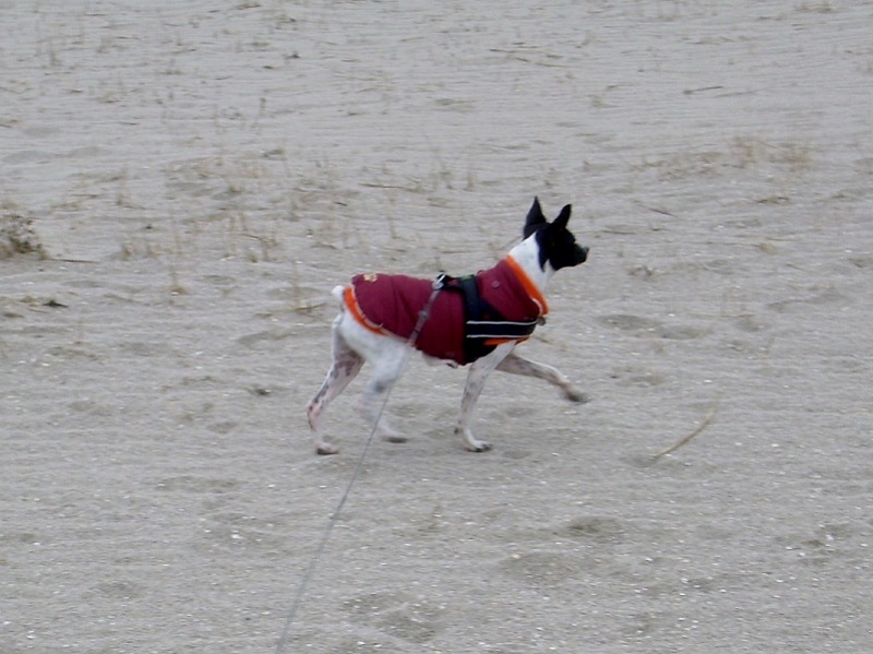 DSCN7158.JPG