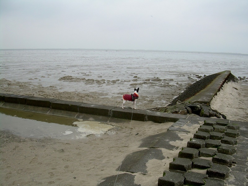 DSCN7162.JPG