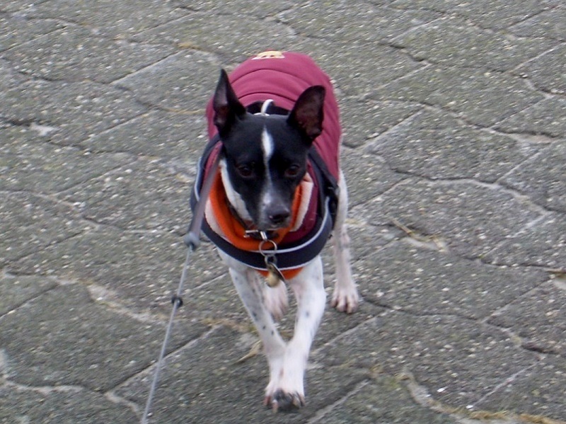 DSCN7171.JPG