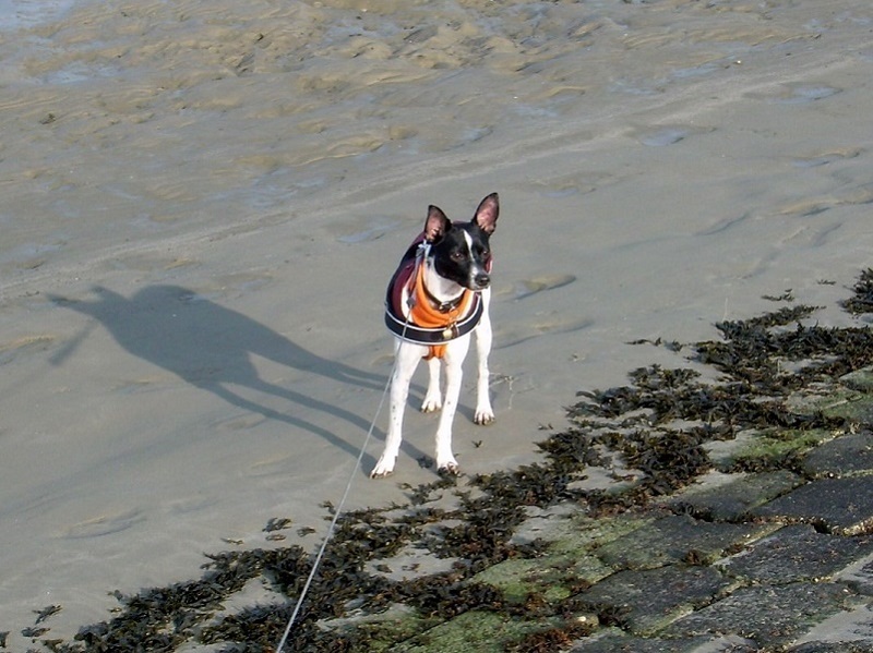 DSCN7191.JPG