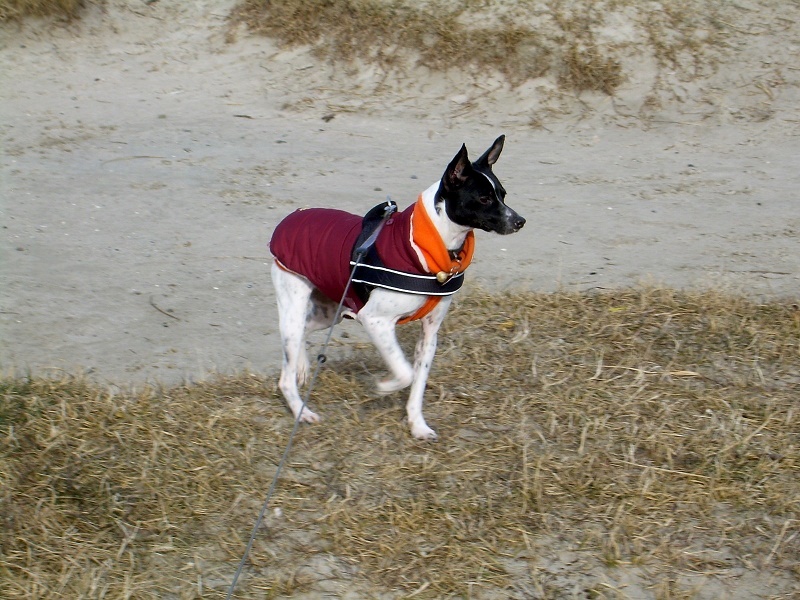 DSCN7204.JPG