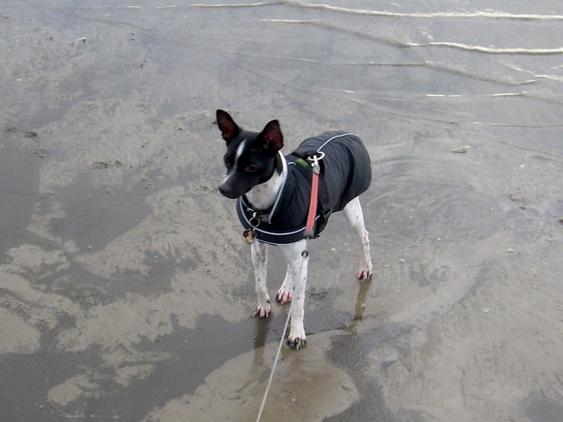 DSCN7217.JPG