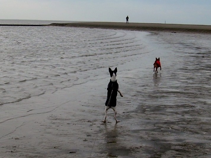 DSCN7218.JPG