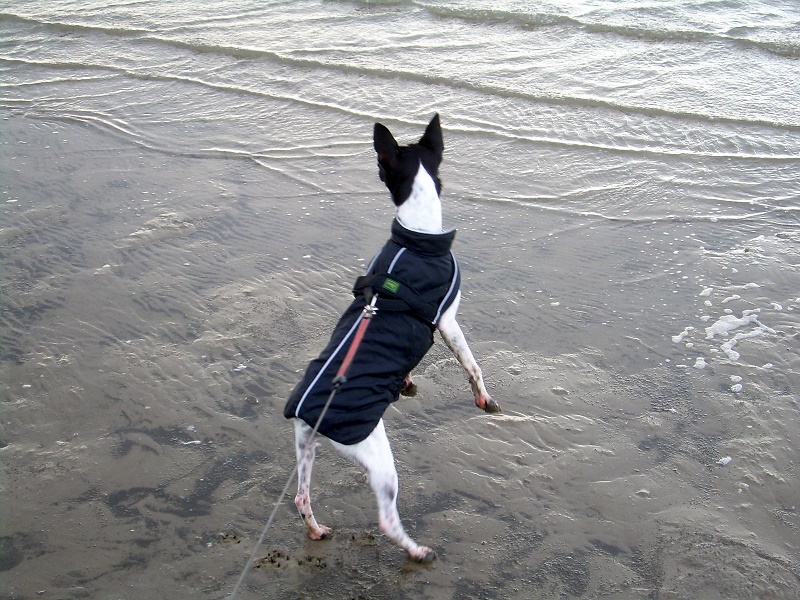 DSCN7222.JPG
