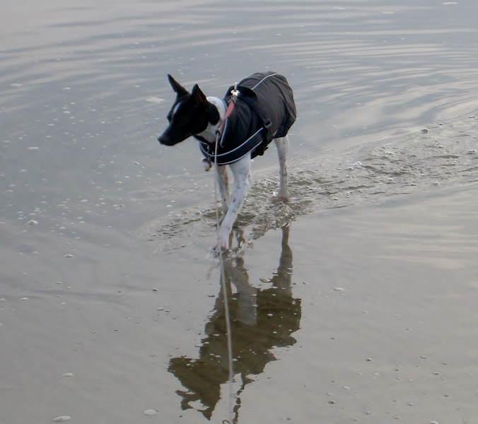 DSCN7238.JPG