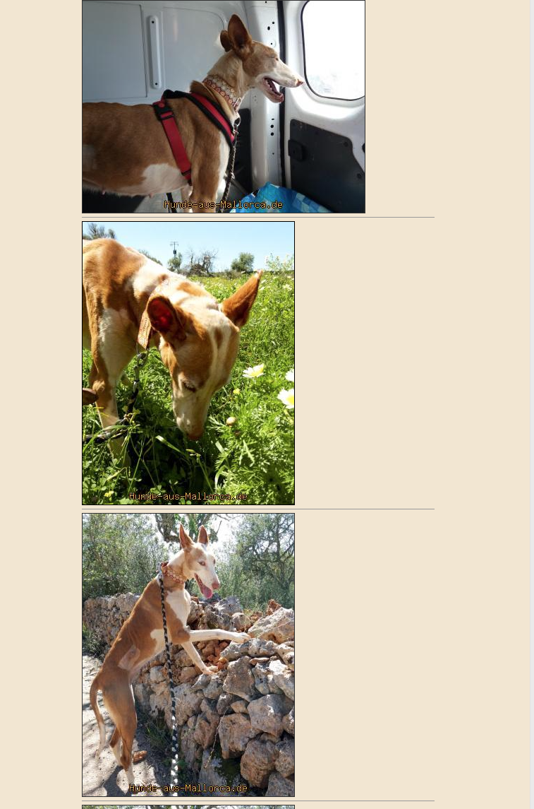 Bildschirmfoto 2018-04-03 um 19.38.33.png
