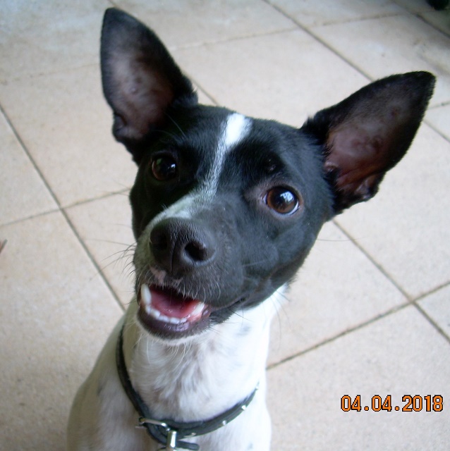 DSCN7246.JPG