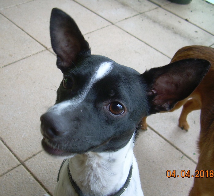 DSCN7247.JPG
