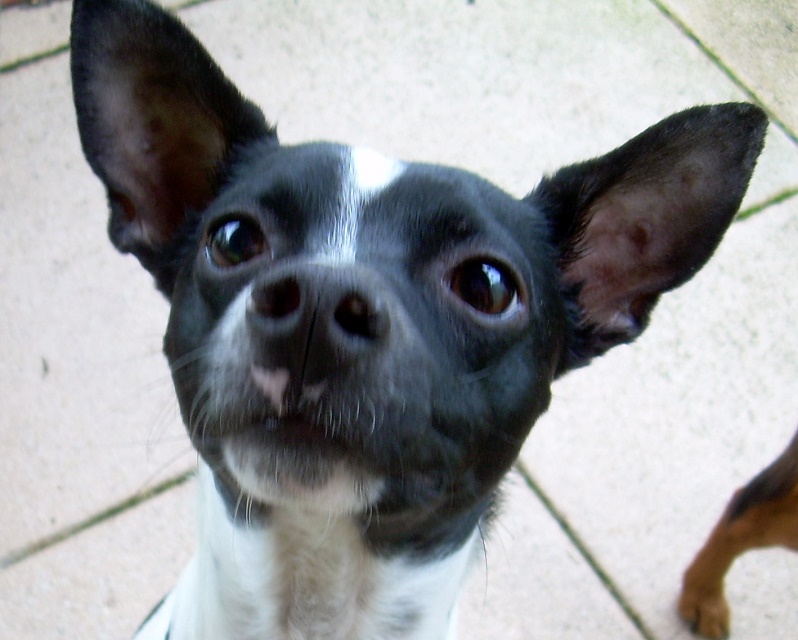 DSCN7248.JPG