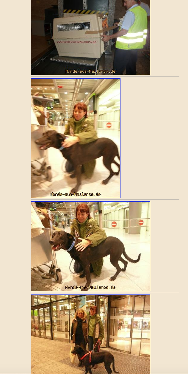 Bildschirmfoto 2018-04-04 um 19.53.31.png