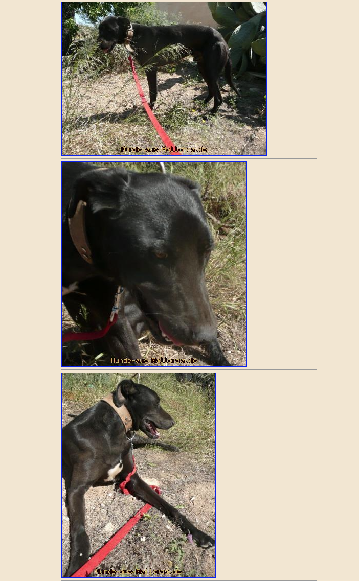 Bildschirmfoto 2018-04-13 um 15.04.27.png